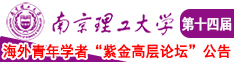 操逼嗷嗷南京理工大学第十四届海外青年学者紫金论坛诚邀海内外英才！